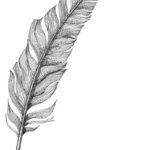 Feather