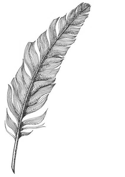 Feather