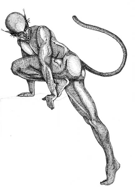 Cat Man